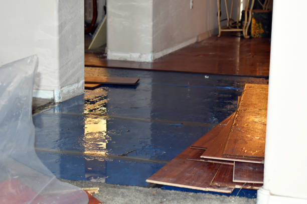 Professional Basement Flood Cleanup technician working in Middleport, OH